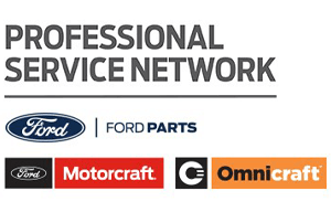 Professional Service Network